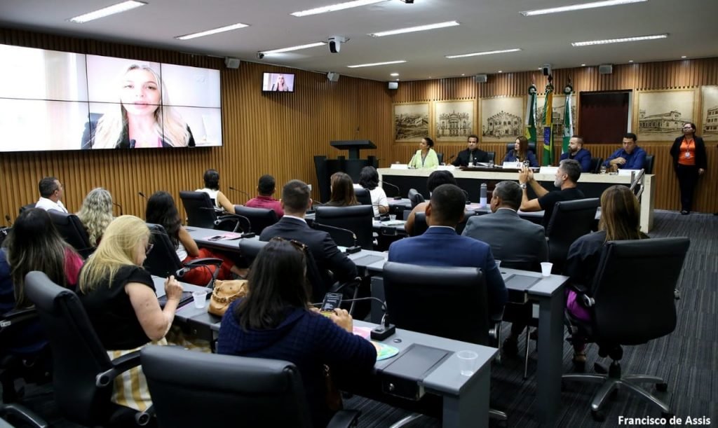 Lei Henry Borel: Câmara discute violência doméstica contra menores*