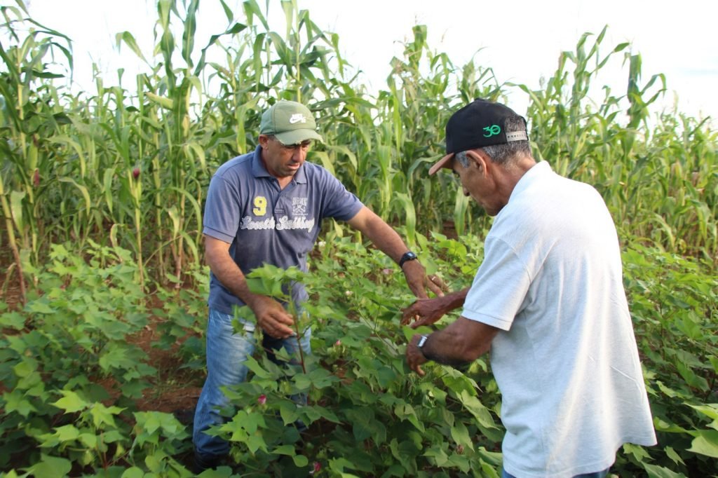 Pagamento do Garantia Safra contempla mais de 100 municípios do RN
