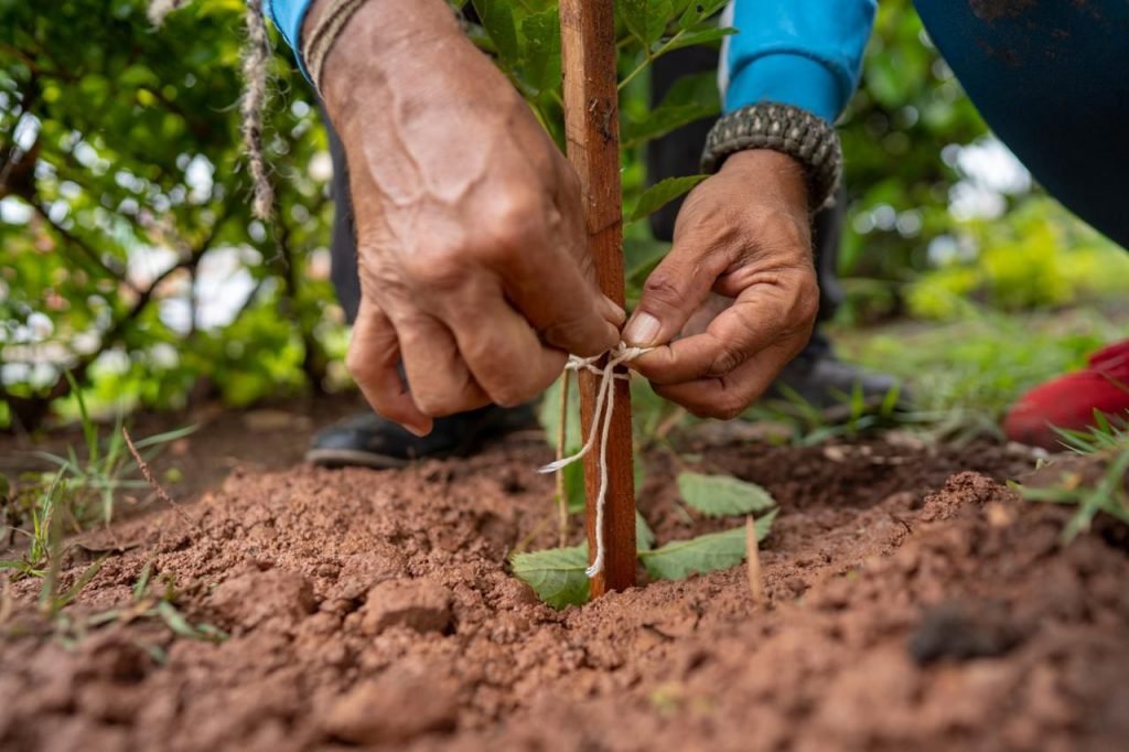 Nova Acrópole RN celebra o Dia Internacional da Terra