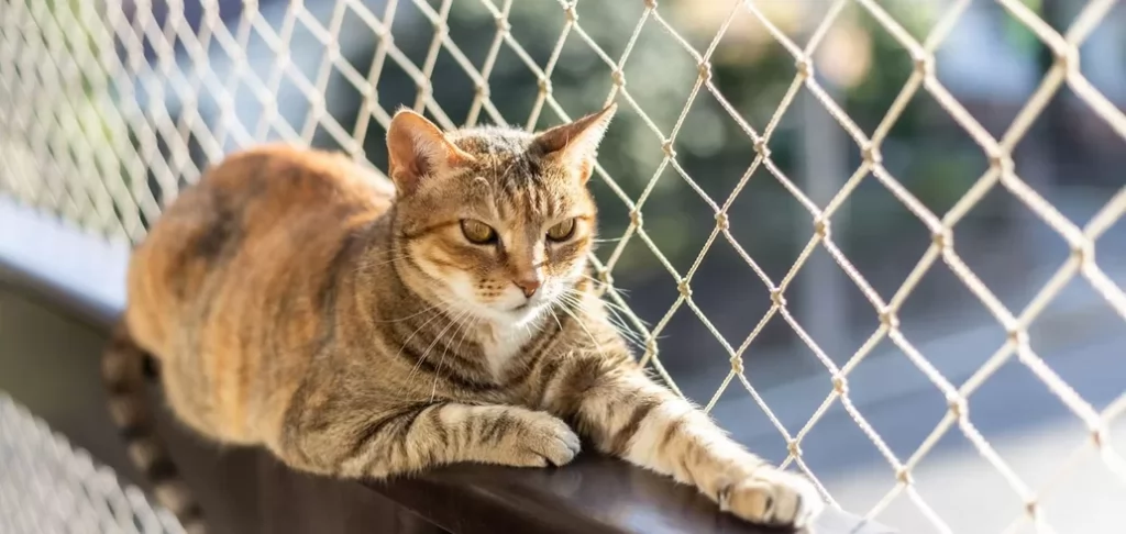 4 produtos que têm data de validade e você provavelmente não sabia