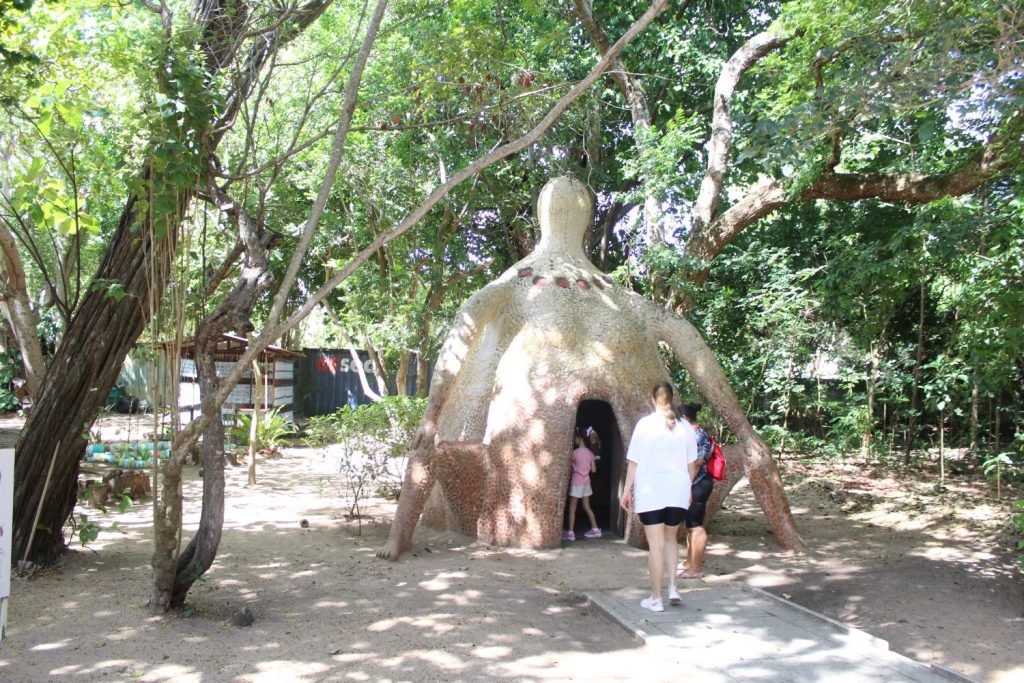 Parque das Dunas divulga programação para a Semana Estadual do Meio Ambiente 2024