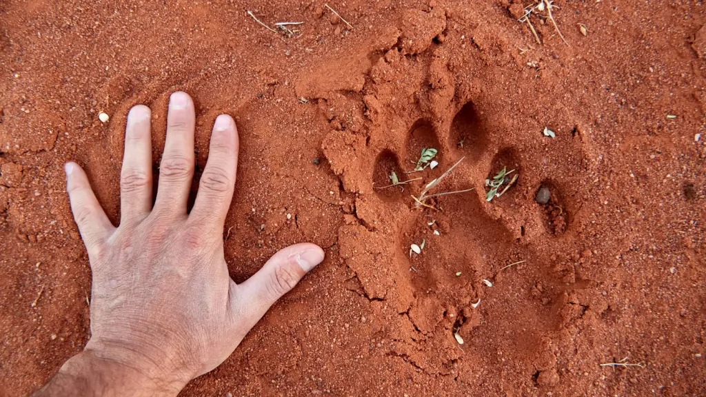 Dia Mundial do Canhoto: os 4 fatos surpreendentes sobre quem tem a mão esquerda como dominante