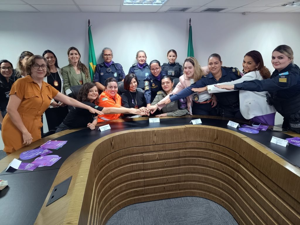 Operação conjunta prioriza combate à violência doméstica no RN