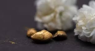 Cientistas criam esponja ecológica que pode extrair ouro de computadores antigos