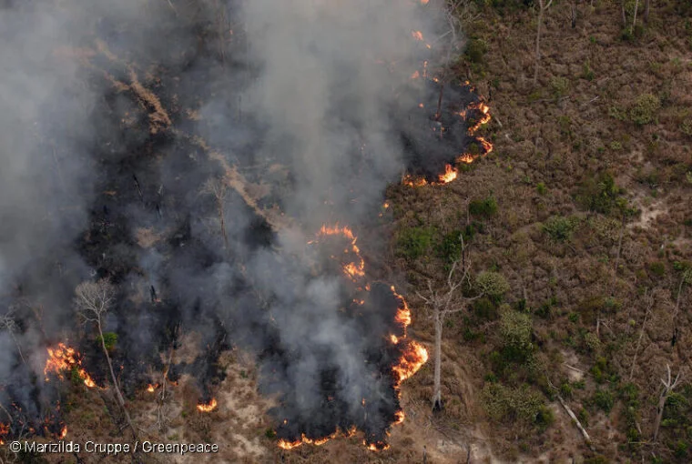 Pesquisa global revela que 8 em cada 10 brasileiros apoiam responsabilização de governos e empresas por dano ambiental