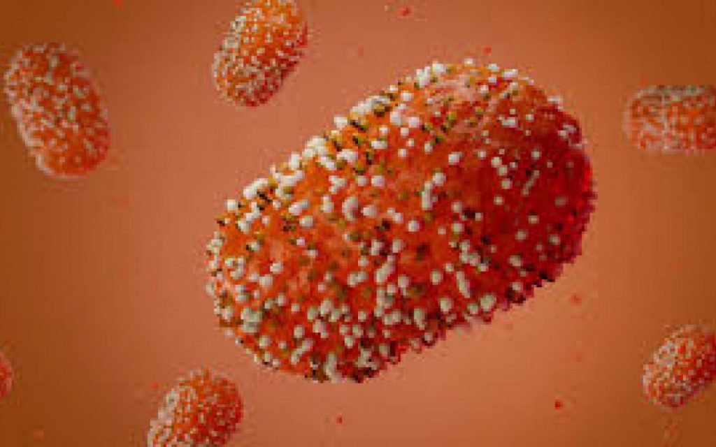 Atenção! OMS faz alerta para doença misteriosa que pode matar 75 milhões de pessoas