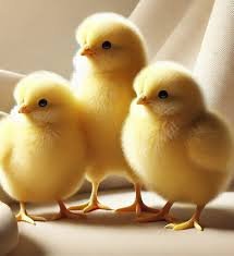 Britânico viveu até os 78 anos sem saber que tinha três pênis