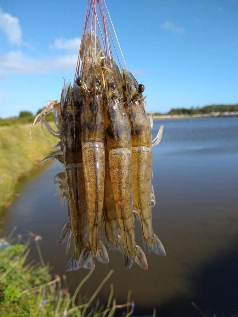 FENACAM 2024 comemora 20 anos e reúne mais de 7 mil visitantes em Natal
