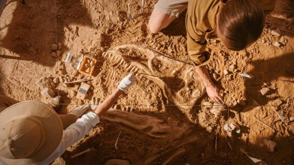 Histórias escondidas: as descobertas arqueológicas que intrigaram o mundo em 2024