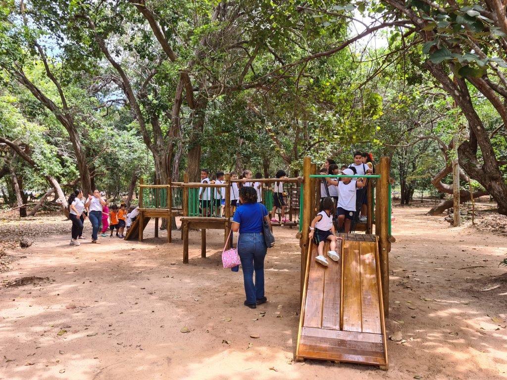 Parque das Dunas, Mata da Pipa e o Cajueiro de Pirangi têm horário de funcionamento diferenciado no fim do ano