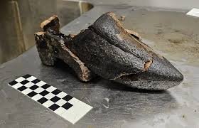 O que guarda esta “cápsula do tempo” do século 15 recém-encontrada na Holanda