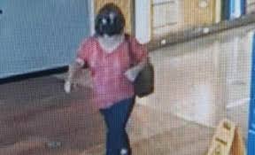 Mulher que aplicava golpes em idosos em shoppings é presa em Natal