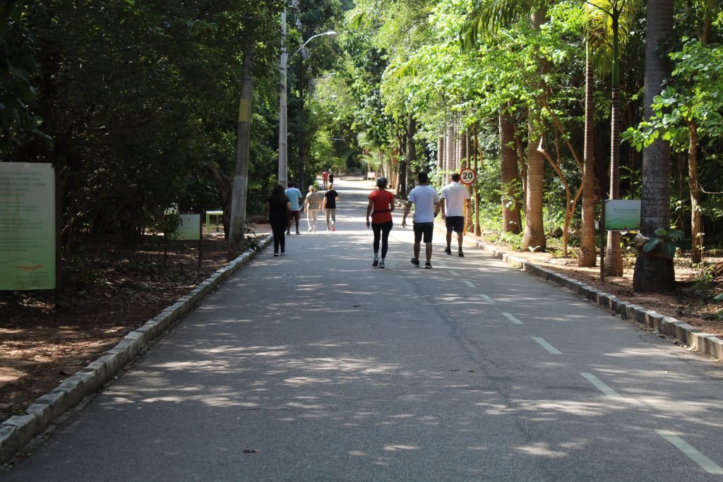 Funcionamento do Parque das Dunas, da Mata da Pipa e do Cajueiro de Pirangi durante o Carnaval