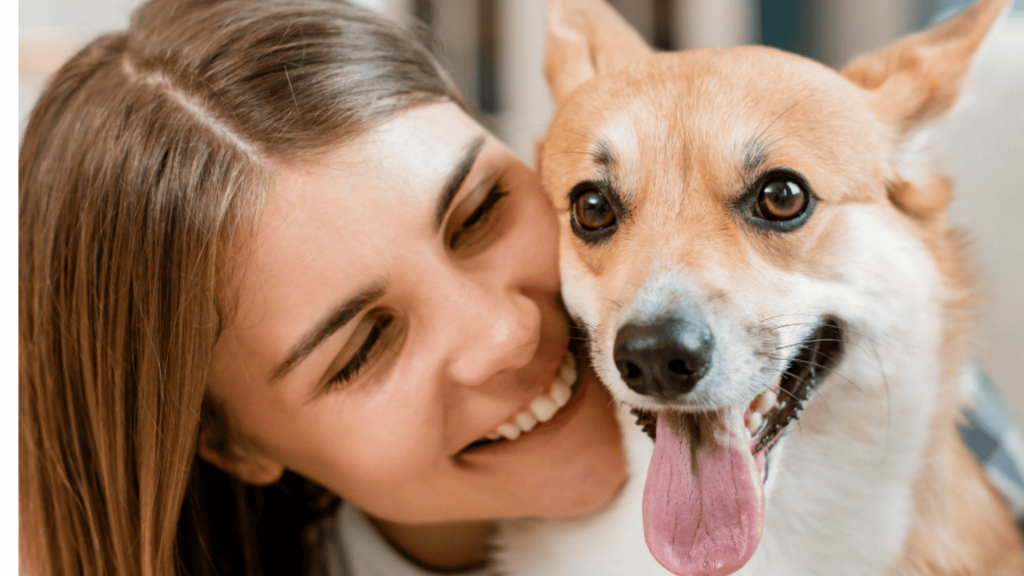 Como encontrar um cão ou gato para adoção pelo site Petz
