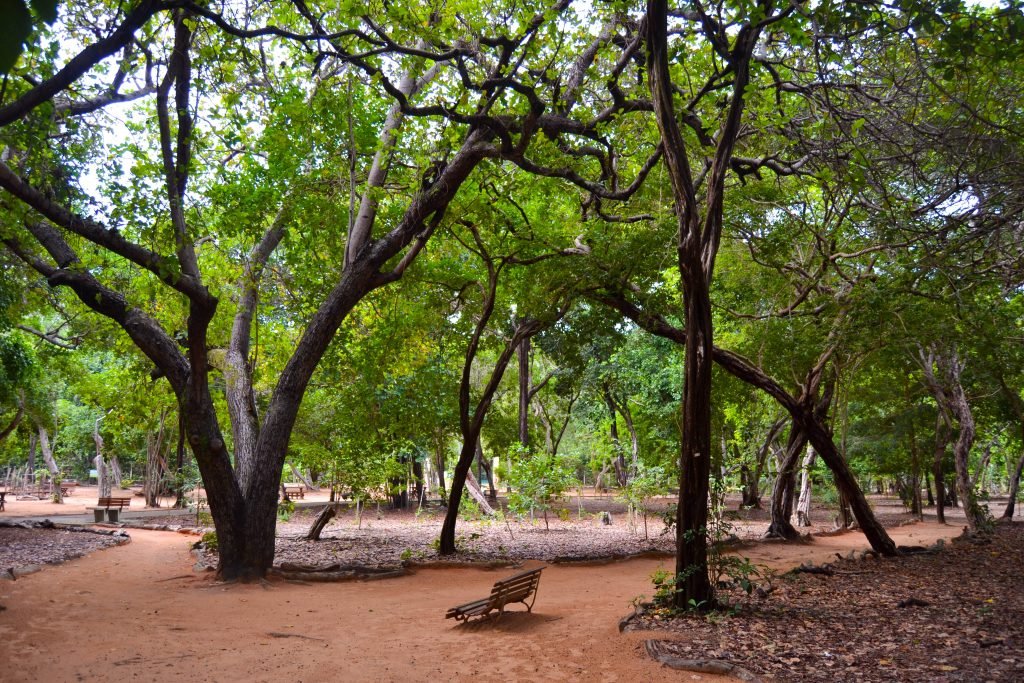 Funcionamento do Cajueiro, Parque das Dunas e Parque Mata da Pipa no feriadão