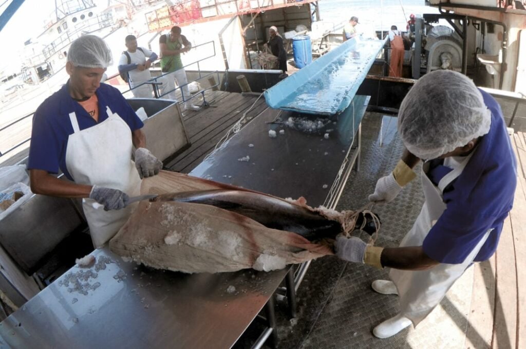 Taxação dos EUA pode gerar perdas de R$ 280 mi ao ano para pesca do RN