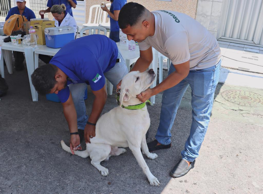 Natal inicia vacinação antirrábica nesta sexta-feira (1)