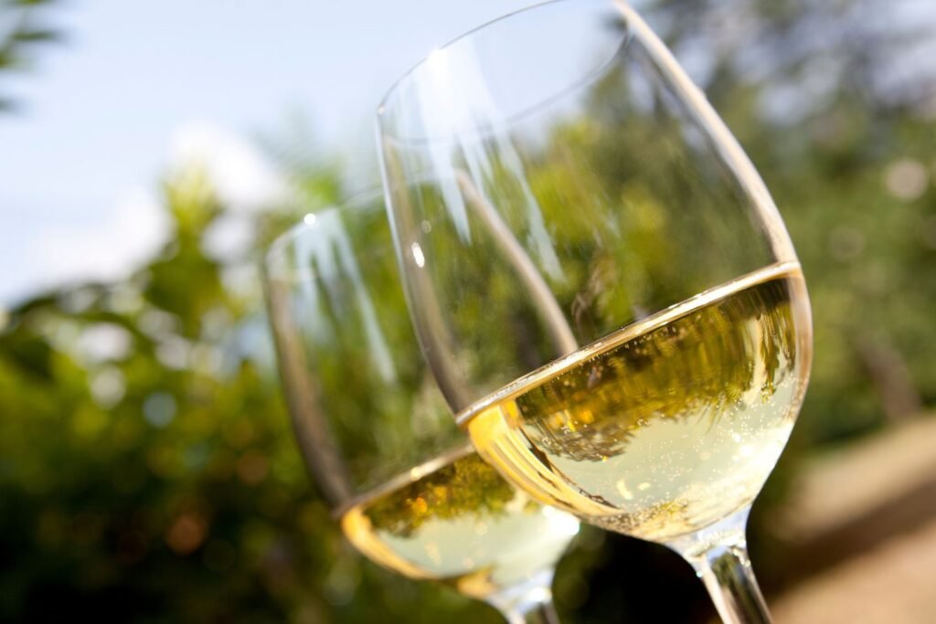 Os melhores Sauvignon Blanc do mundo em 2025, segundo o Decanter Awards