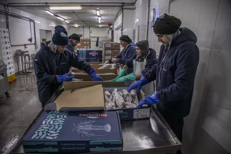 Tarifaço de Trump tumultua logística e cria confusão em contratos de exportação