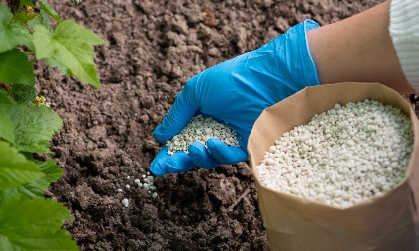 Fertilizantes: nova taxação dos EUA pode ser fatal para o agro brasileiro