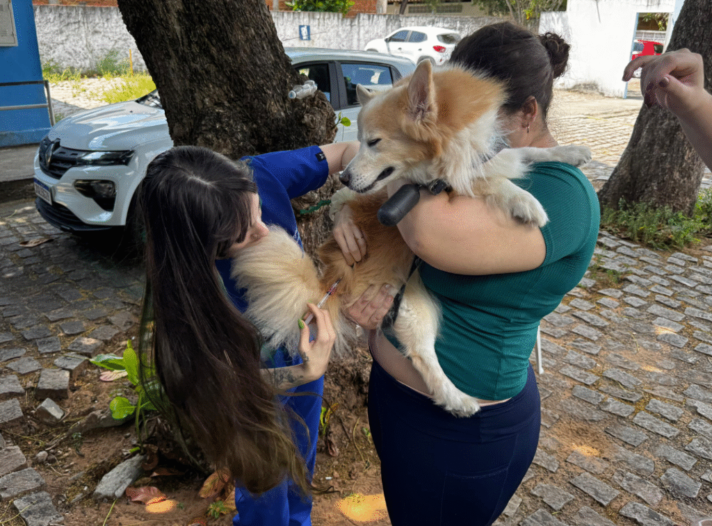 Mais de 5 mil animais são imunizados no Dia D da Campanha Antirrábica
