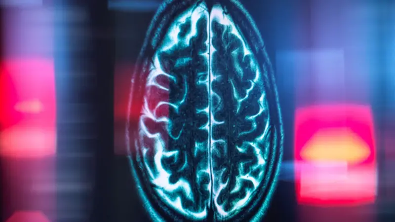 Cientistas identificam ‘contador de quilometragem’ do cérebro