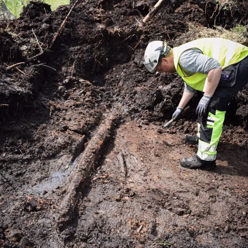 ‘Cápsula do tempo pré-histórica’ de 5 mil anos é descoberta em pântano