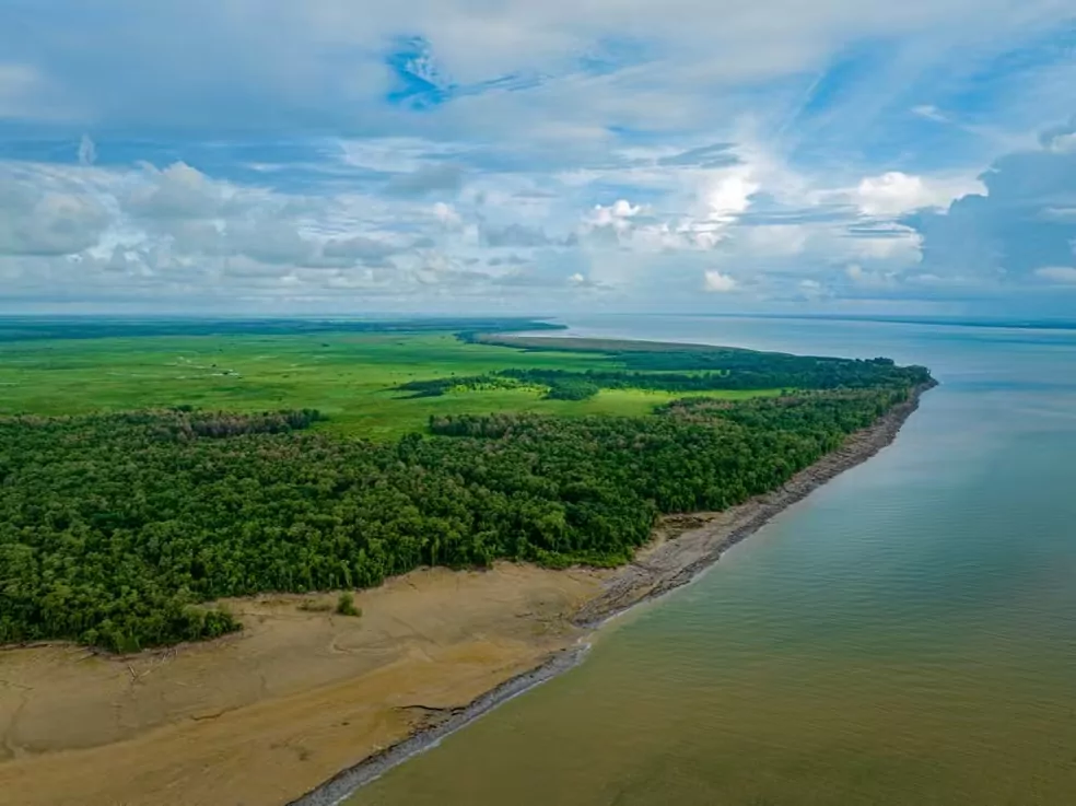 Amazonas registra maior número de queimadas em 26 anos