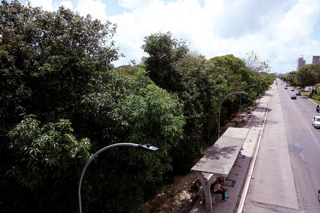 Semurb rebate sugestão do Idema de mudar área do Parque Linear