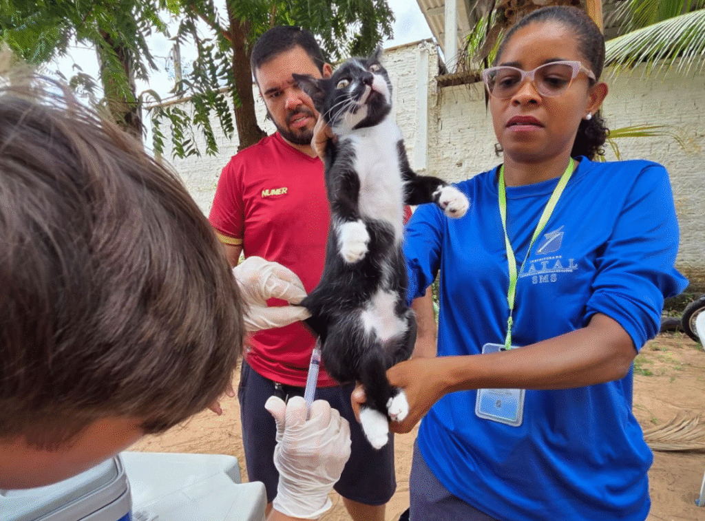 Campanha Antirrábica 2025: veja onde vacinar cães e gatos neste sábado (11)