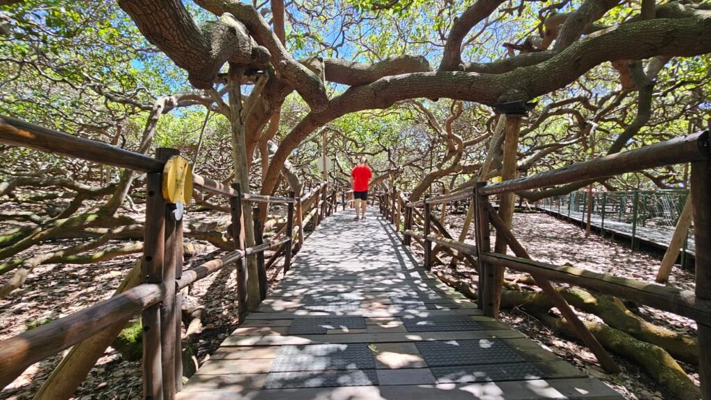 Cajueiro de Pirangi terá ajustes no horário de funcionamento e no valor do ingresso a partir de novembro