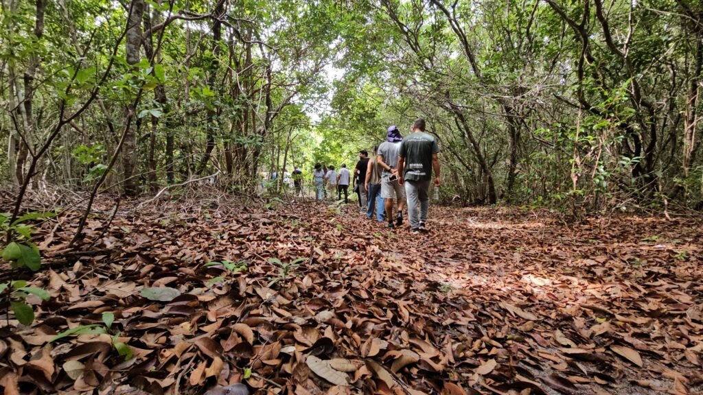 Parques e Cajueiro de Pirangi abertos para visitação no feriado dos Mártires