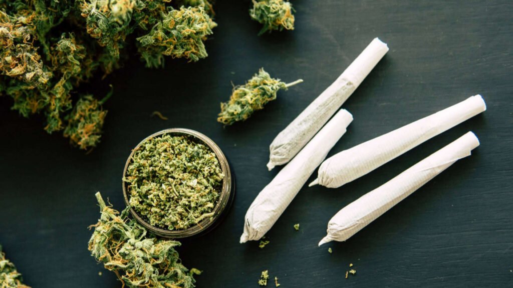 Vício em maconha pode ter motivação genética, diz pesquisa