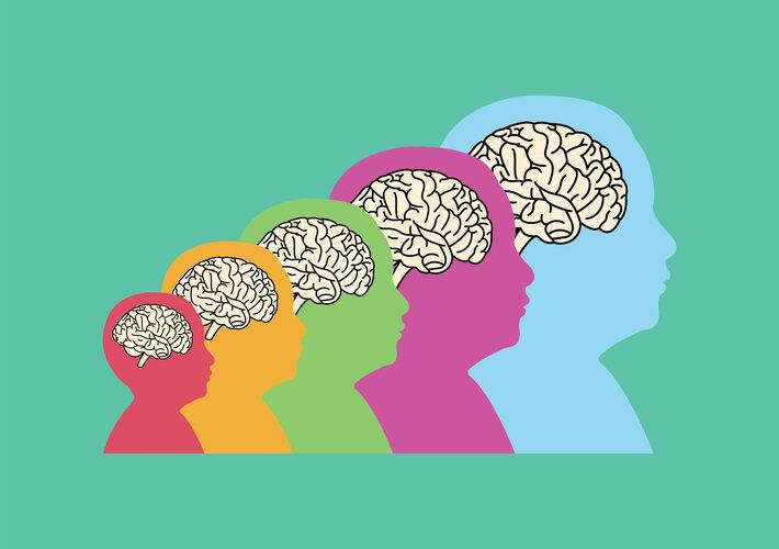 O cérebro em todas as idades: o que muda da infância à velhice nas fases críticas do desenvolvimento