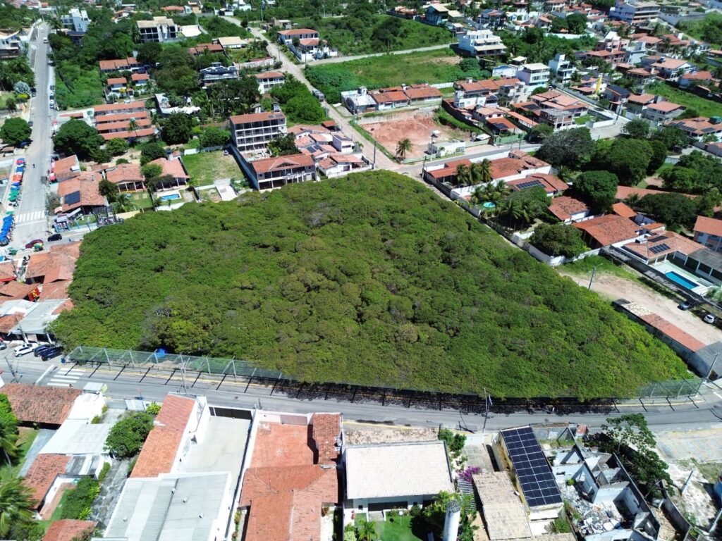 Idema realiza audiência pública sobre criação do Monumento Natural Cajueiro de Pirangi