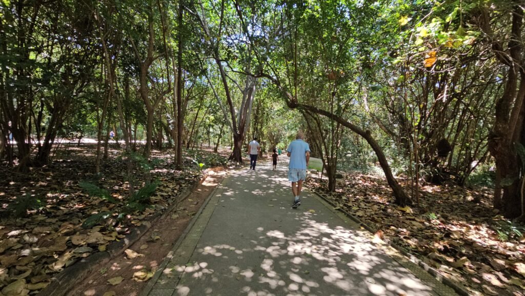 Funcionamento do Cajueiro, Parque das Dunas e Parque Mata da Pipa no feriado da Consciência Negra