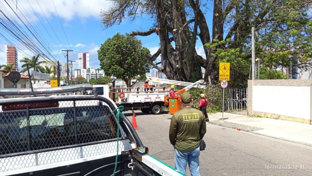 Intervenção emergencial no Baobá do Poeta mobiliza órgãos públicos no fim de semana