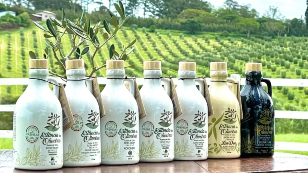 Brasil tem 11 azeites entre os 100 mais premiados de 2025