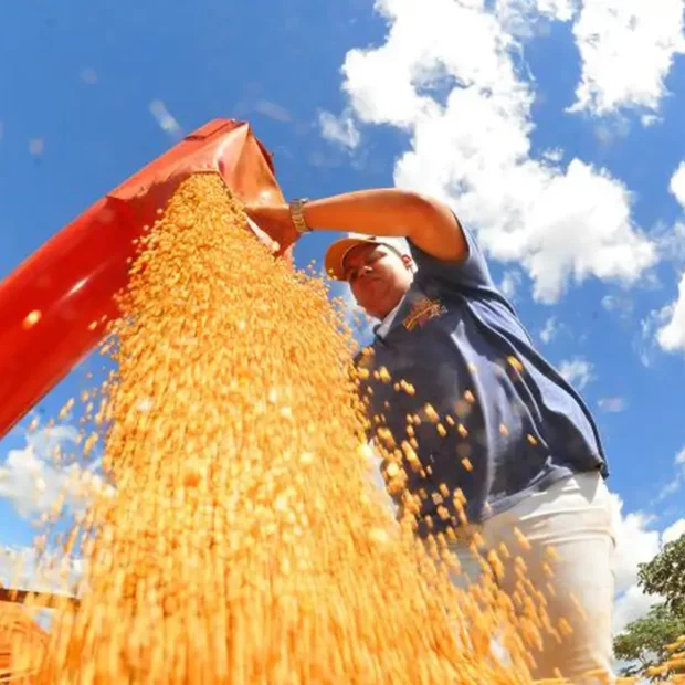 Tarifas dos EUA causam perda de US$ 3 bilhões ao Brasil e ameaçam competitividade, diz estudo