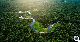 Congresso derruba vetos de Lula e restaura trechos que flexibilizam o licenciamento ambiental