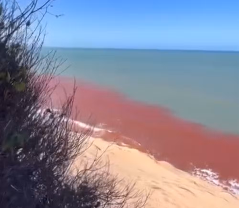 Maré vermelha’ chama atenção na Praia de Pipa, no RN; entenda o que causa a coloração