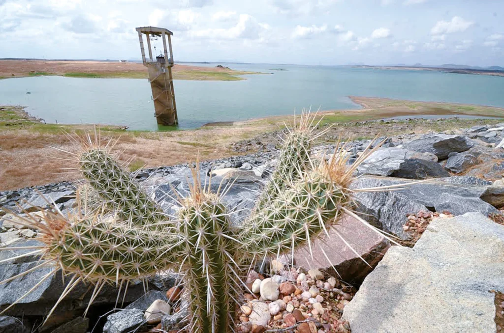 Agência das Águas aponta que seca extrema no RN é a pior desde 2018 por