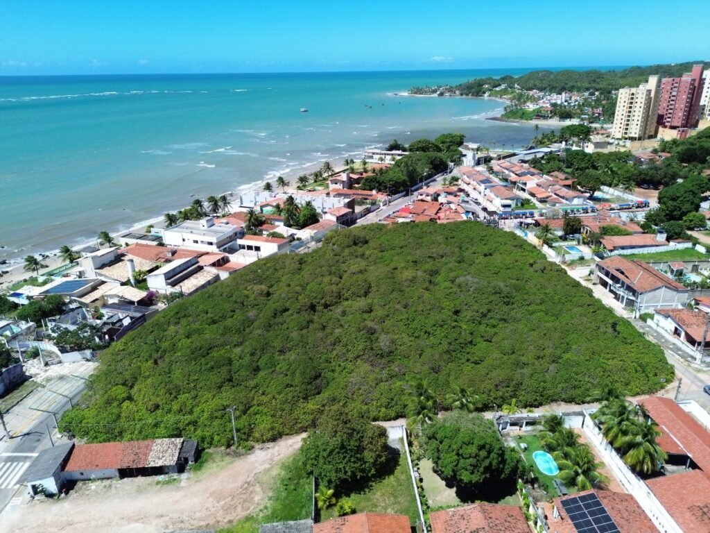 Cajueiro de Pirangi celebra 137 anos com programação especial e reforço à preservação ambiental