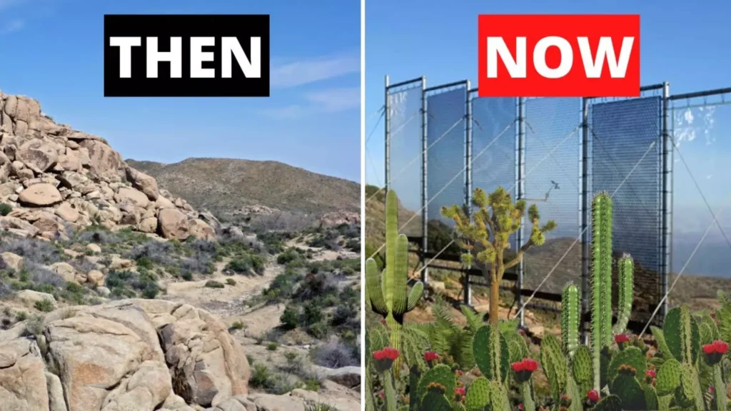 Parece miragem, mas é real: cientistas conseguem extrair milhares de litros de água no deserto do Saara usando um método invisível