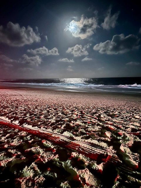 Primeira Superlua do ano aconteceu neste sábado