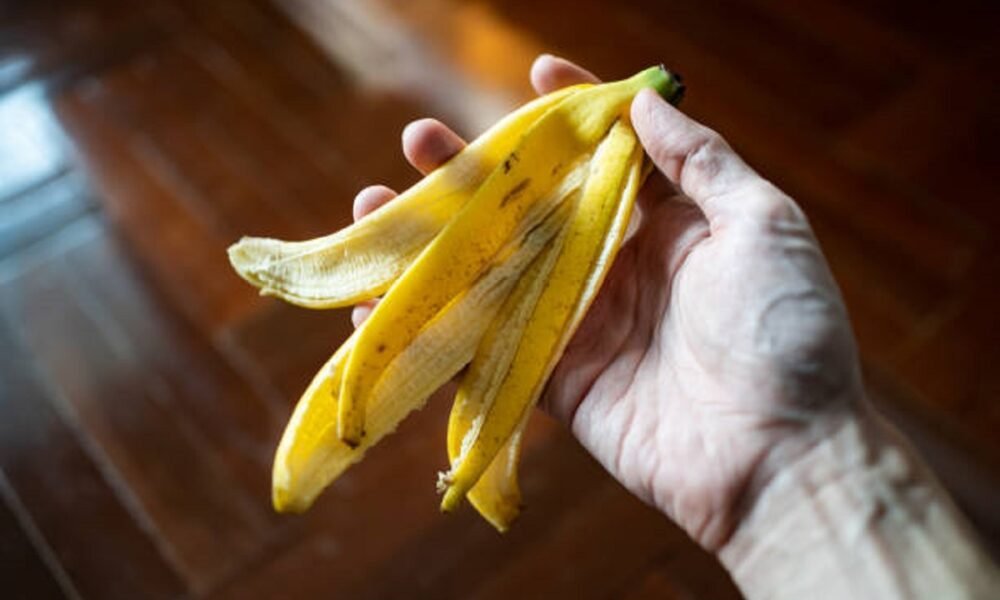 Você joga isso fora todo dia, mas suas plantas imploram por esse adubo natural