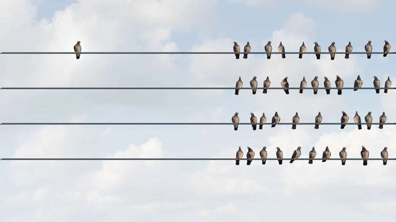 O que acontece quando você sai das redes sociais?