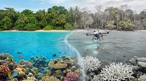 Planeta desbota, cientistas soam o alarme e apontam que a perda de cores já atinge corais, oceanos e florestas, ameaçando biodiversidade, clima e segurança alimentar