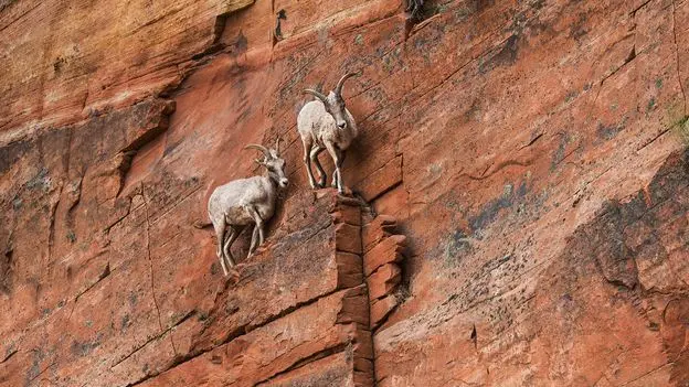 Nove dicas (poderosas) sobre como lidar com a ansiedade