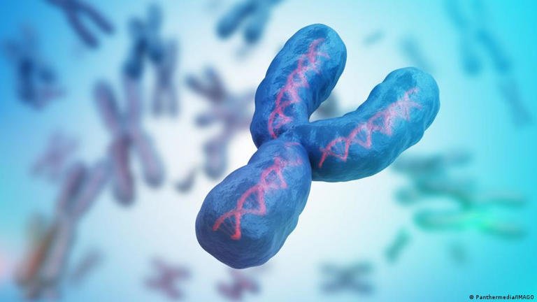 Os homens serão extintos? A verdade sobre o cromossomo Y